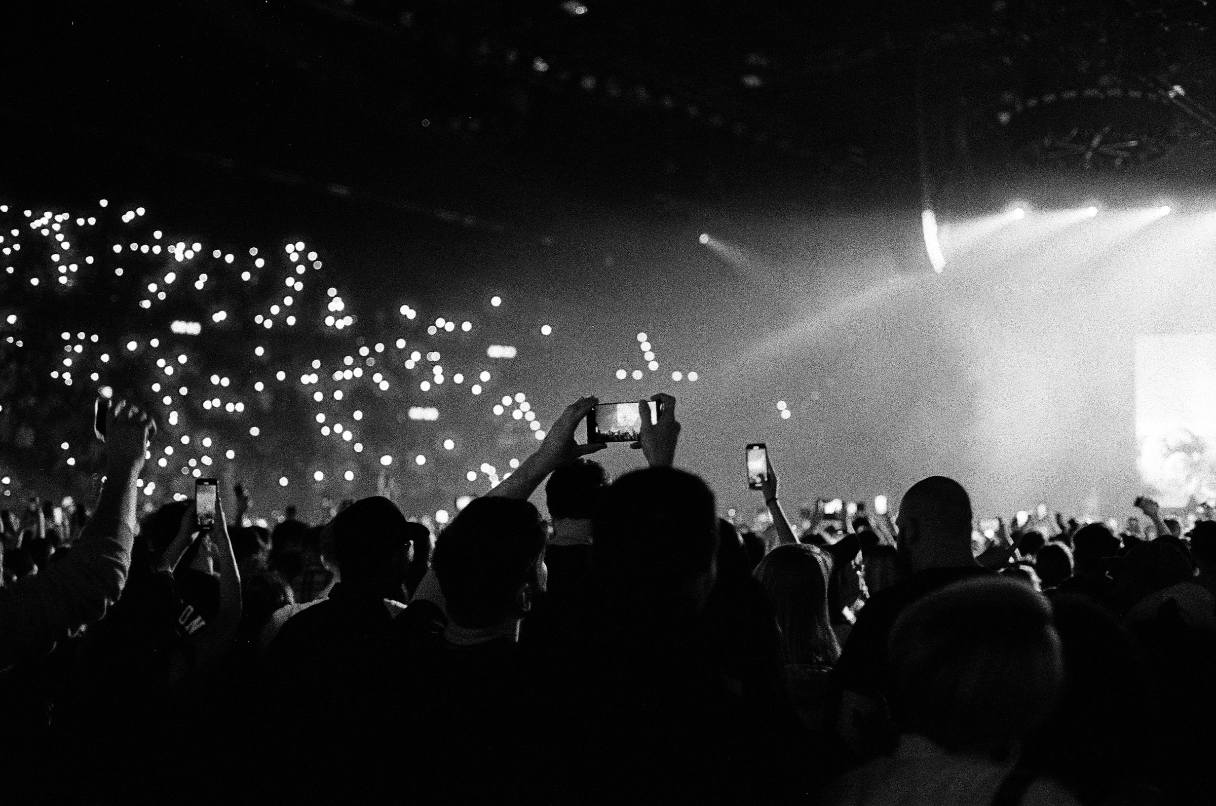 A live music audience facing a brightly lit stage